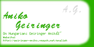 aniko geiringer business card